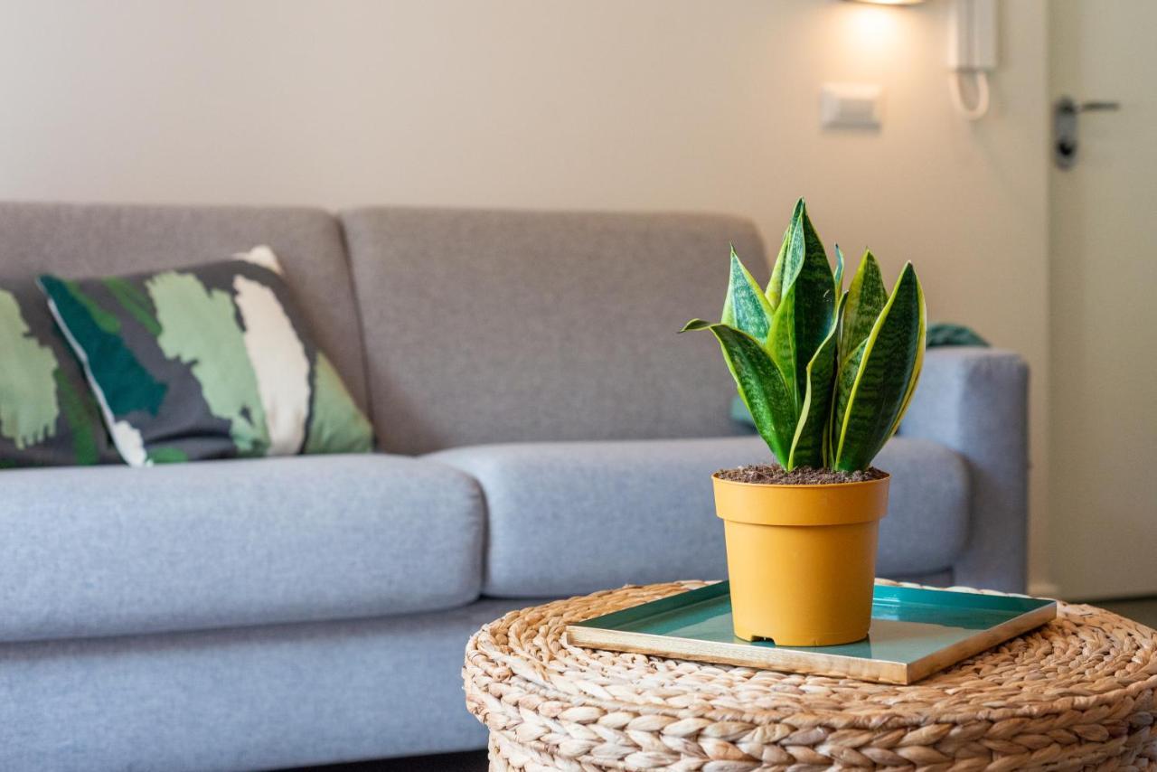 Luxury Seaview Apartment - Mare Slano Zewnętrze zdjęcie